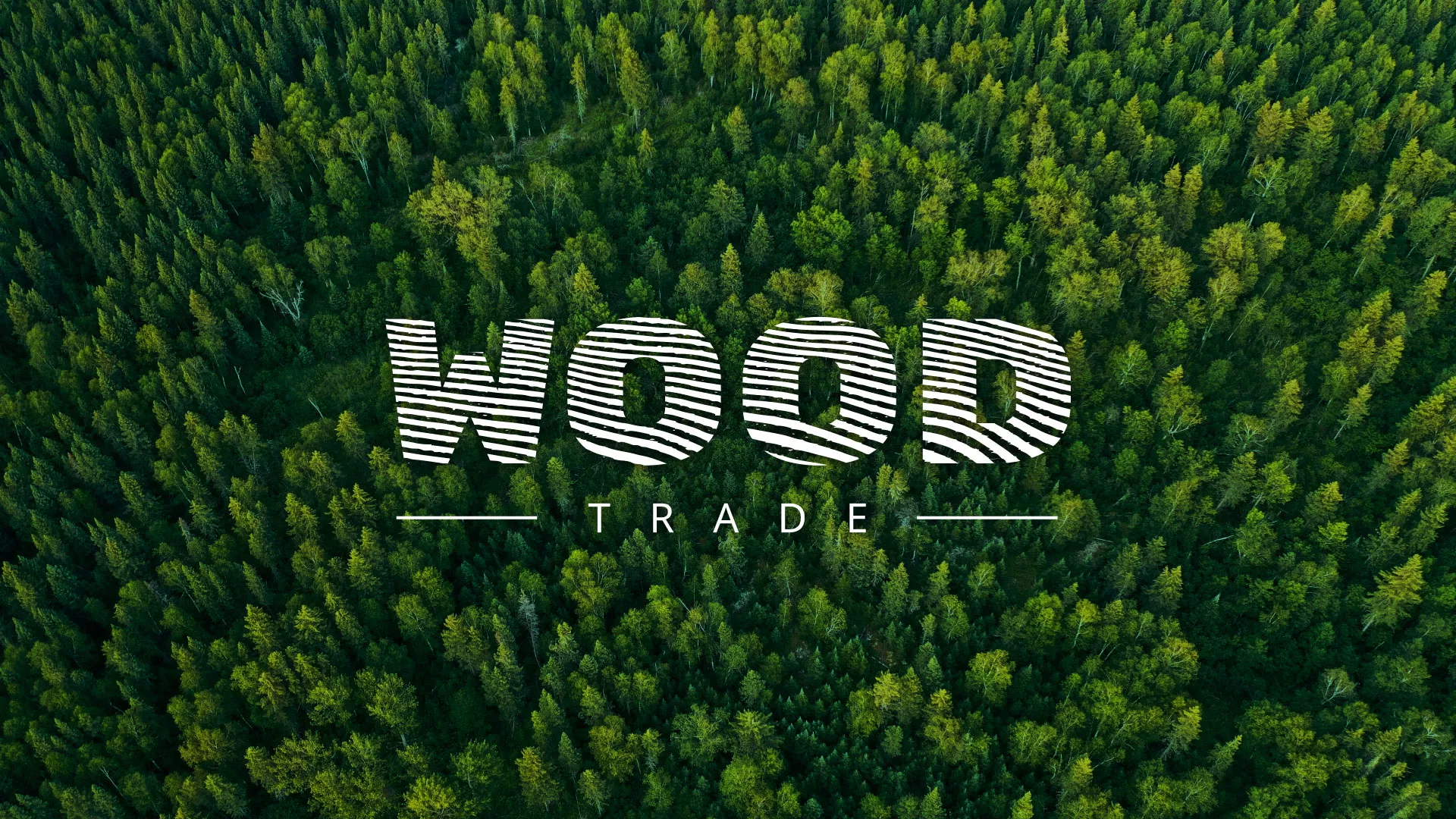 Разработка интернет-магазина компании «Wood Trade» в Кологриве
